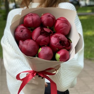 9 бордовых пионов