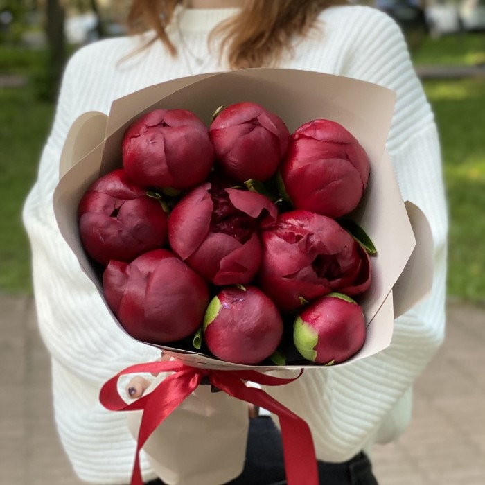 9 бордовых пионов