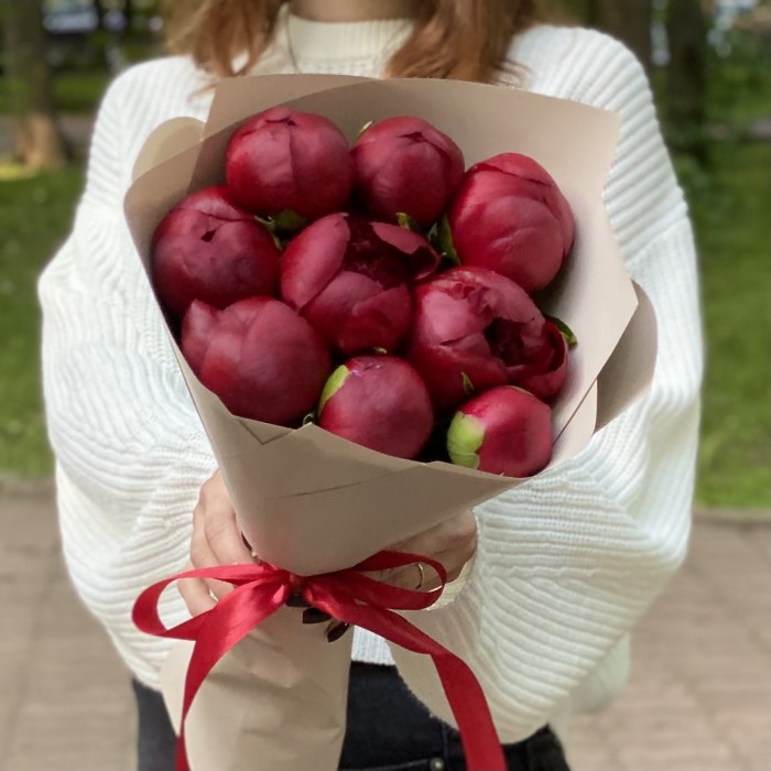 9 бордовых пионов