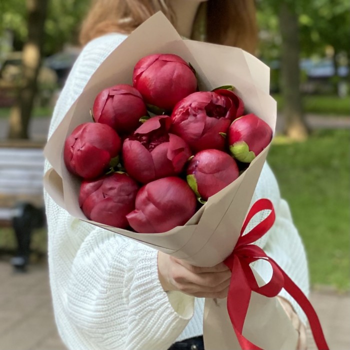 9 бордовых пионов