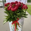 Бордовые пионы Голландия