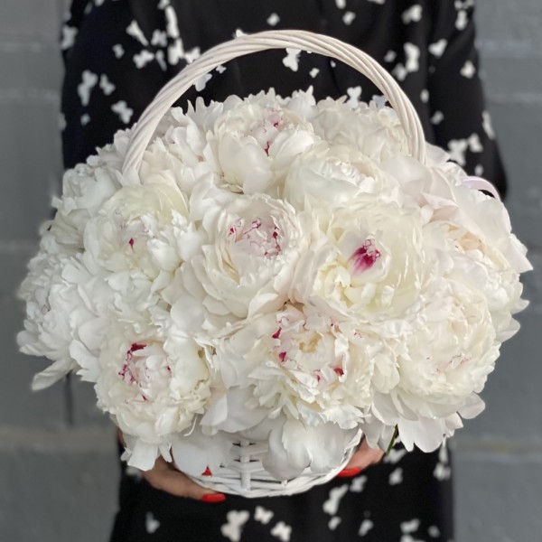 25 кремовых пионов Фестива в корзине