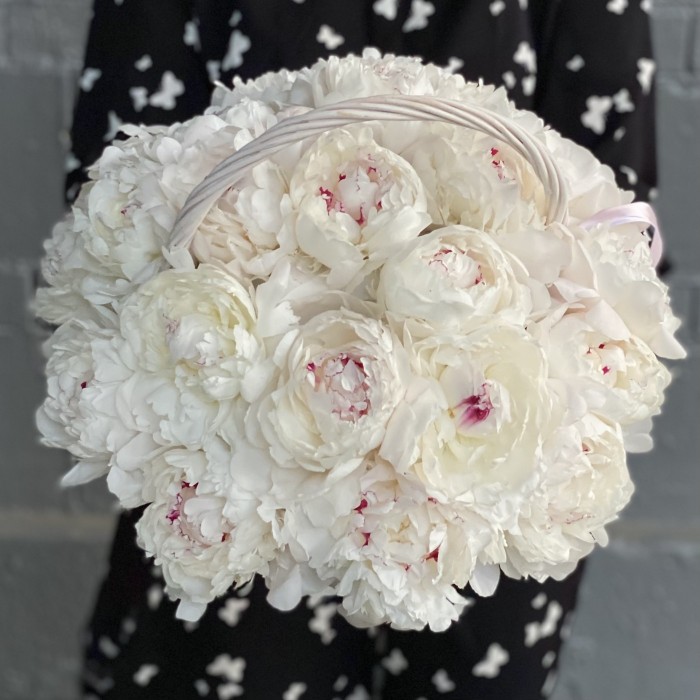 25 кремовых пионов Фестива в корзине