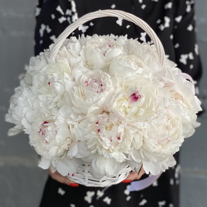 25 кремовых пионов Фестива в корзине