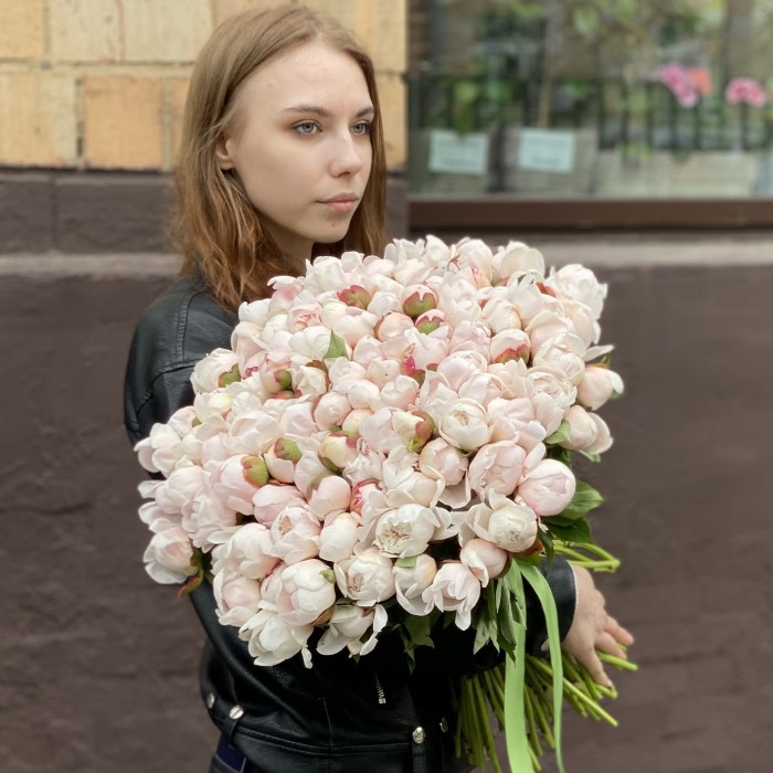 Пион Фестива максимум