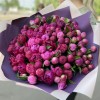 101 пион малиновый