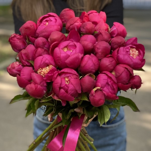 Пион малиновый Вайт Кеп