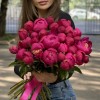 Пион малиновый Вайт Кеп