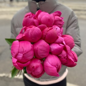 Пионы Фуксия Пионы Фуксия