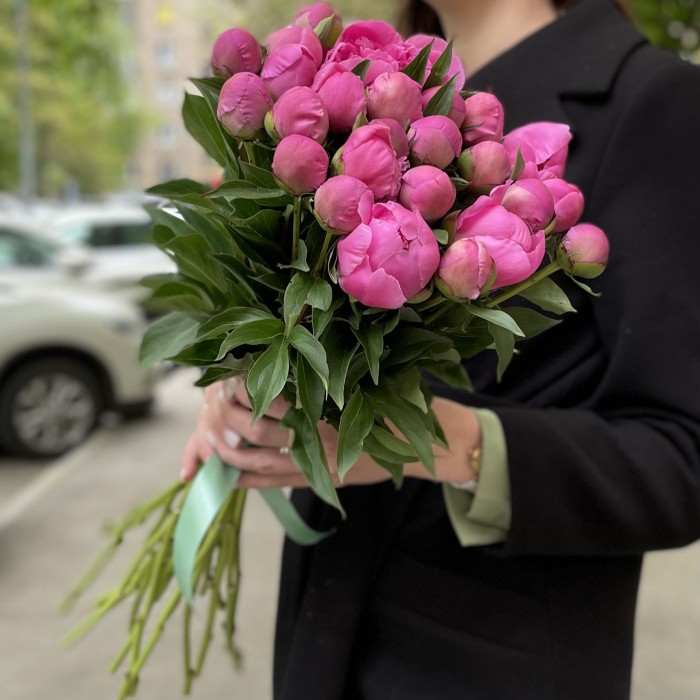 Яркие розовые пионы Голландия