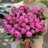 Яркие розовые пионы