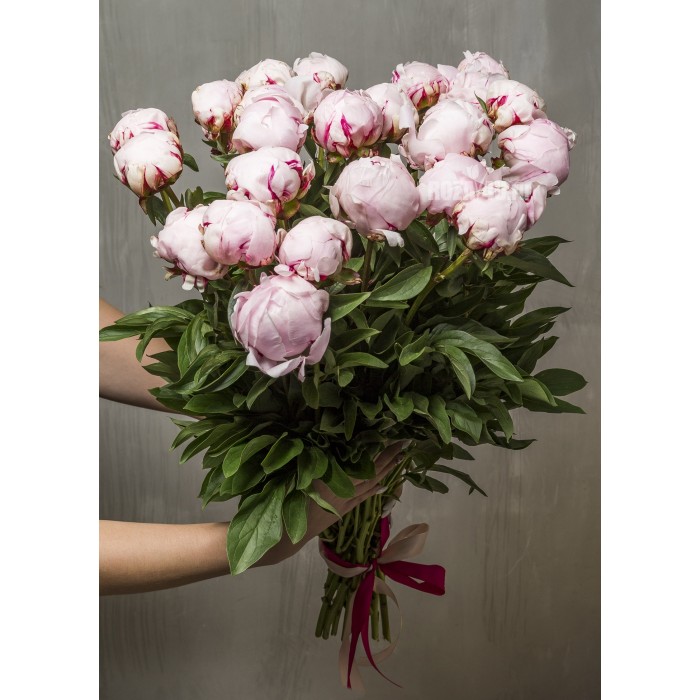 Розовые пионы