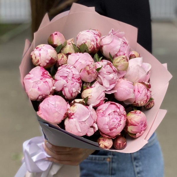 15 кустовых пионов Сара Бернар