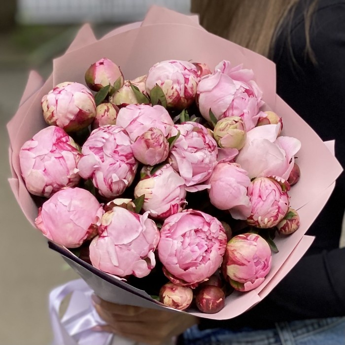 15 кустовых пионов Сара Бернар