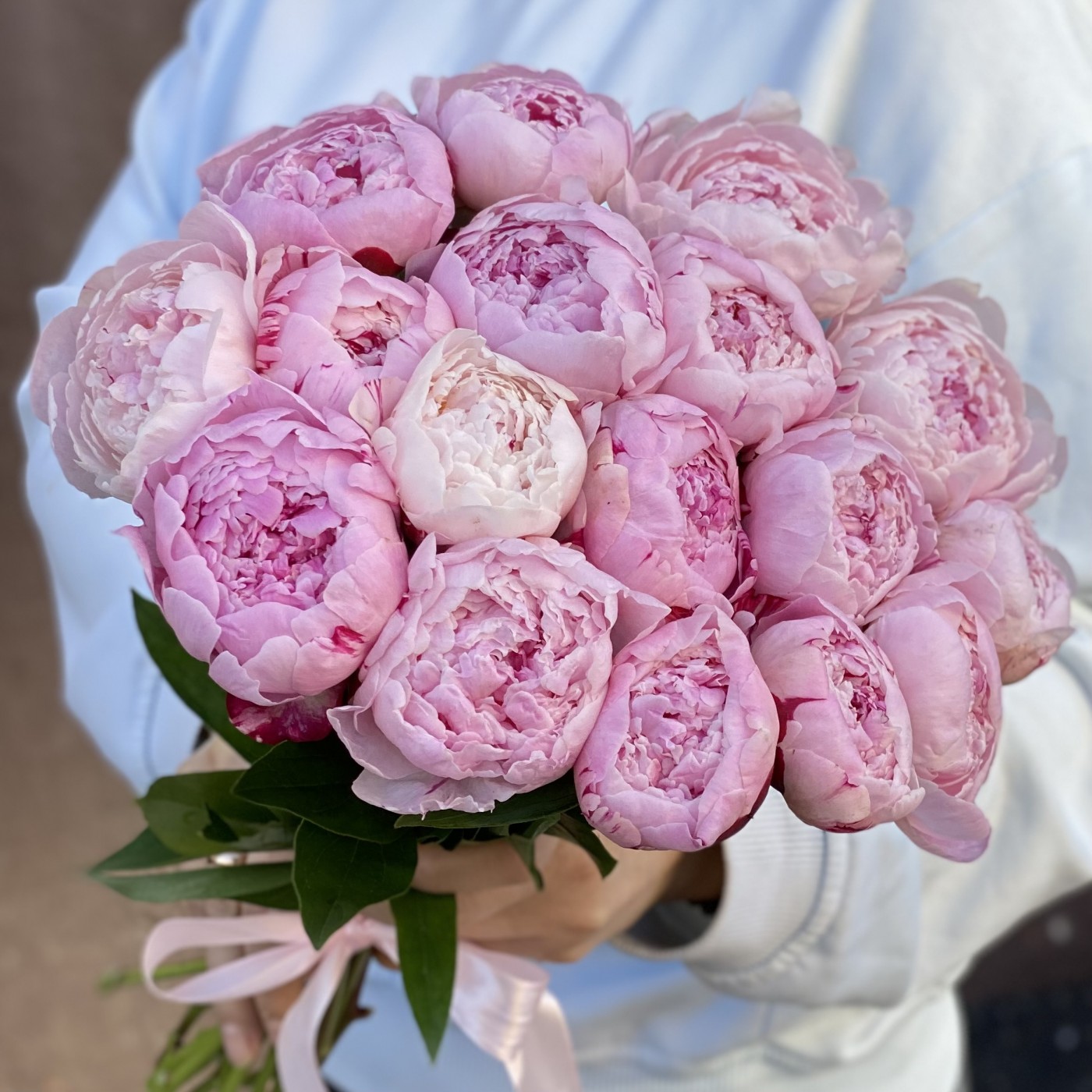 Букет из 17 нежно-розовых пионов Сара Бернар | купить недорого букет пионов  | доставка по Москве и области