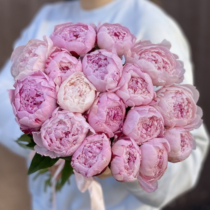 Букет из 17 пионов Сара Бернар