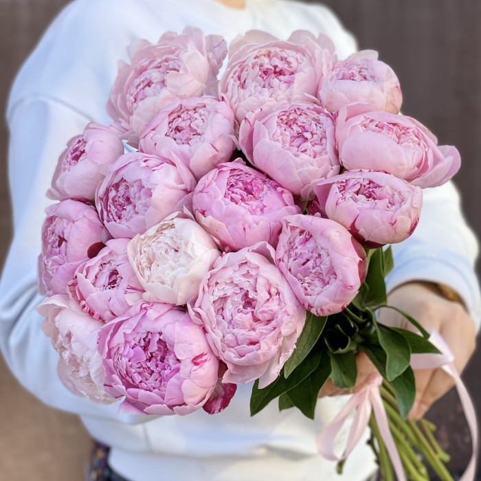 Букет из 17 пионов Сара Бернар