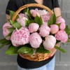 25 розовых пионов Сара Бернар в корзине