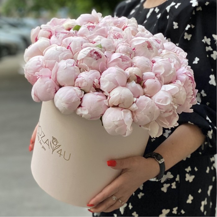 51 пион Фестива  в коробке