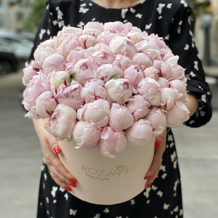 51 пион Фестива  в коробке