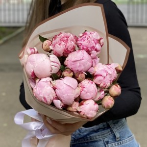 9 кустовых пионов Сара Бернар 9 кустовых пионов Сара Бернар