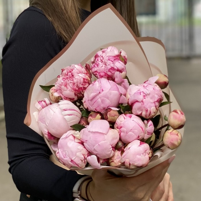 9 кустовых пионов Сара Бернар