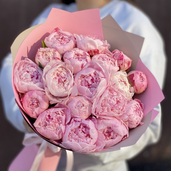 Букет из 19 пионов Сара Бернар в упаковке