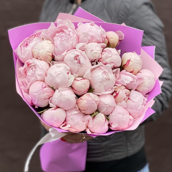 Букет из 25 пионов Сара Бернар