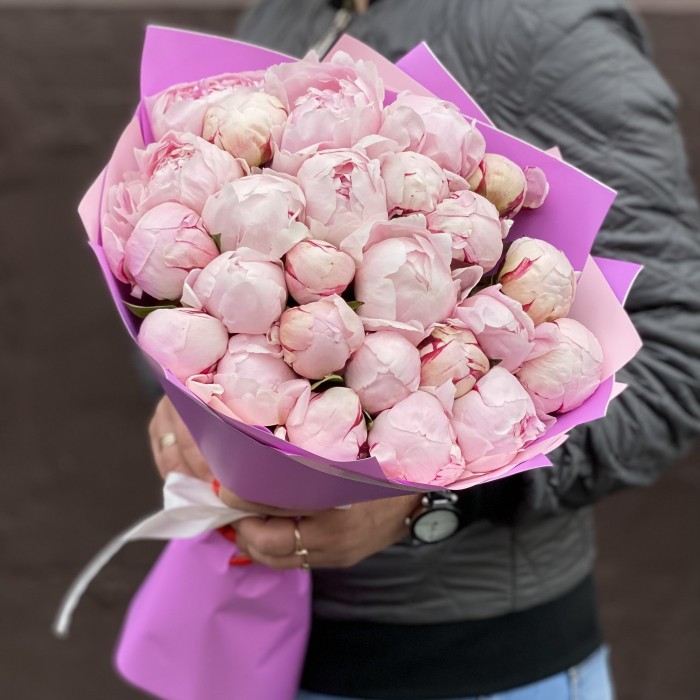 Букет из 25 пионов Сара Бернар