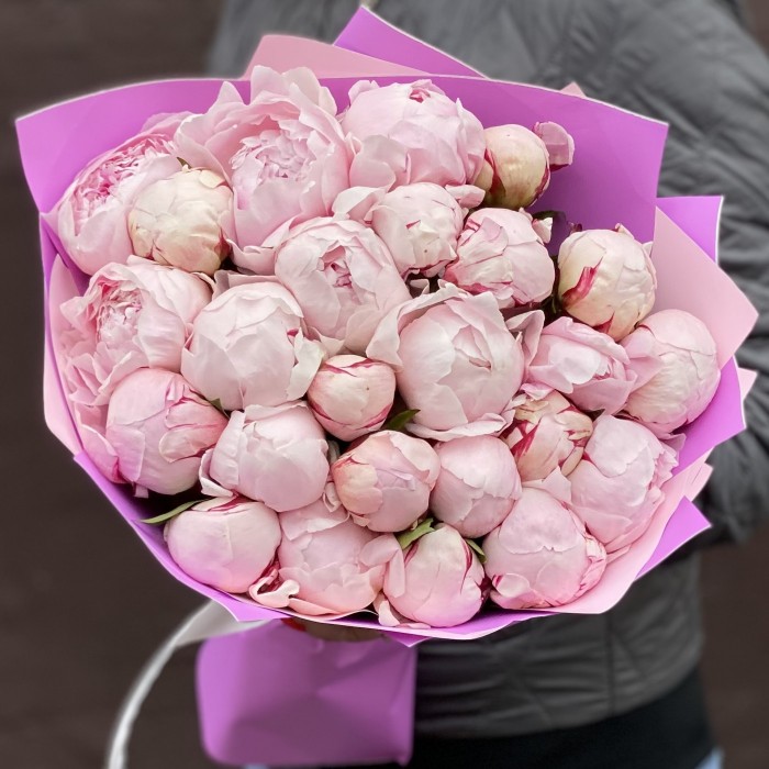 Букет из 25 пионов Сара Бернар