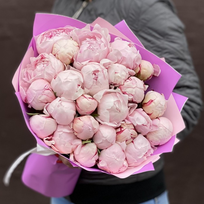 Букет из 25 пионов Сара Бернар