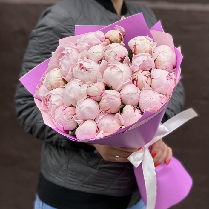Букет из 25 пионов Сара Бернар