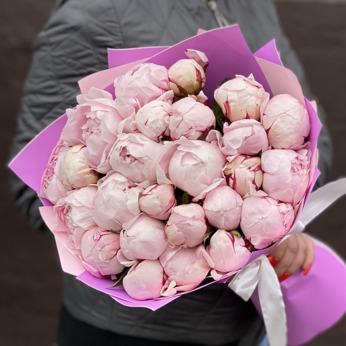 Букет из 25 пионов Сара Бернар