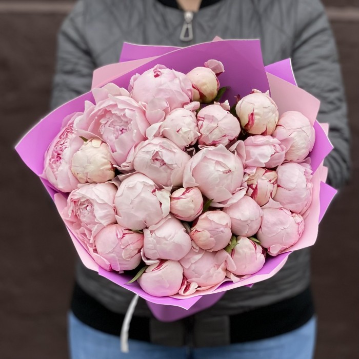 Букет из 25 пионов Сара Бернар