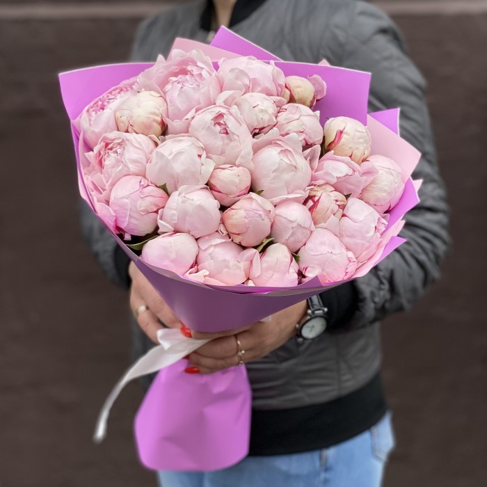 Букет из 25 пионов Сара Бернар