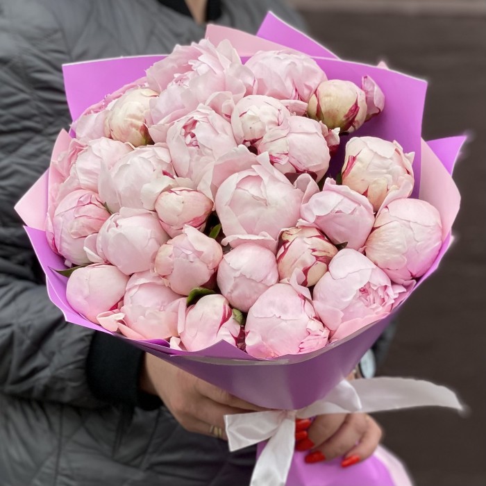 Букет из 25 пионов Сара Бернар