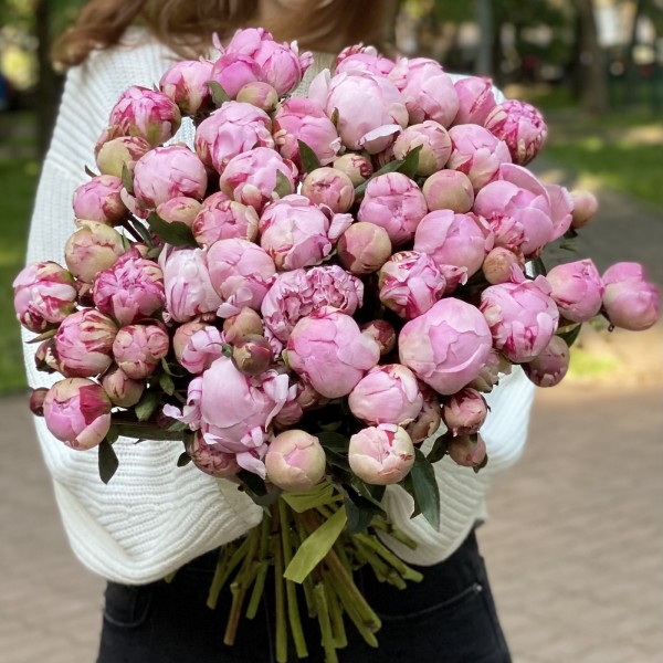 Пионы Сара Бернар кустовые