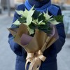 Пуансеттия белая - Цветок Рождественская звезда