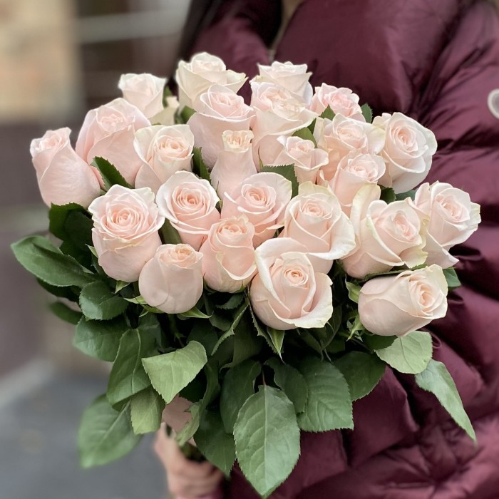 25 нежно-розовых роз Помароса