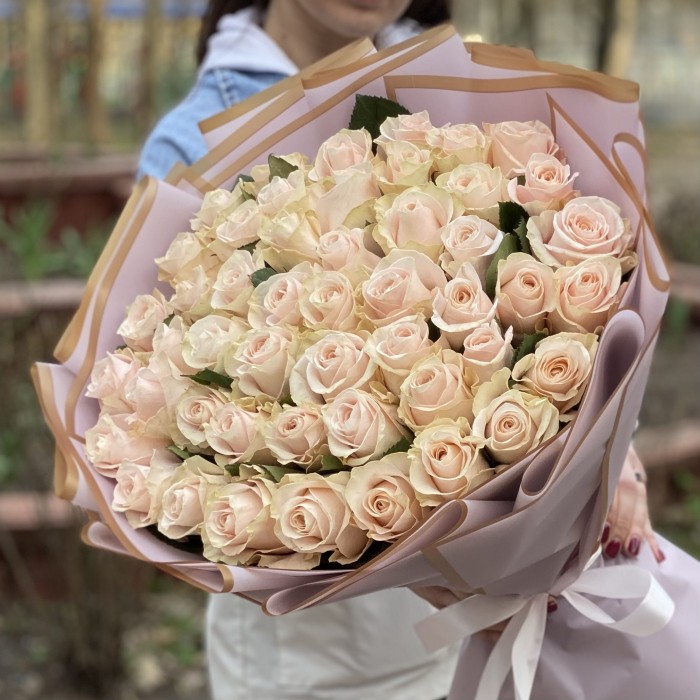 51 нежно-розовая роза Помароса