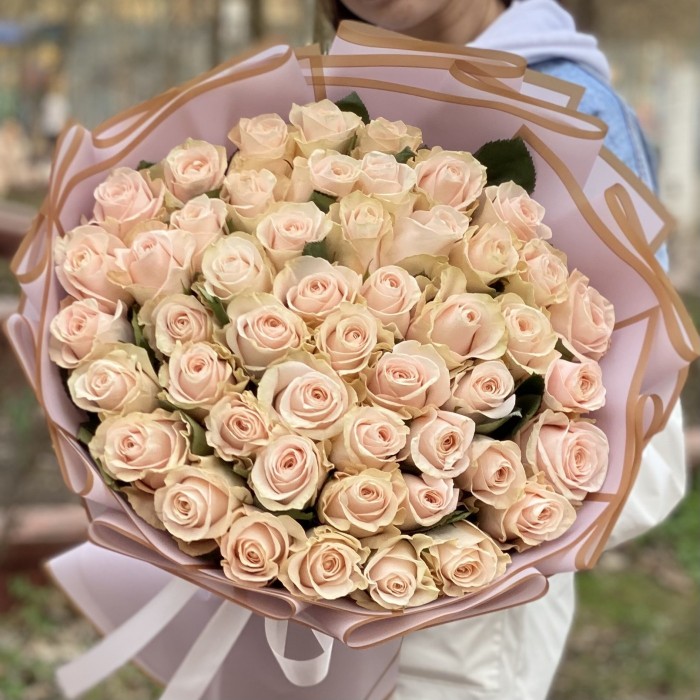 51 нежно-розовая роза Помароса