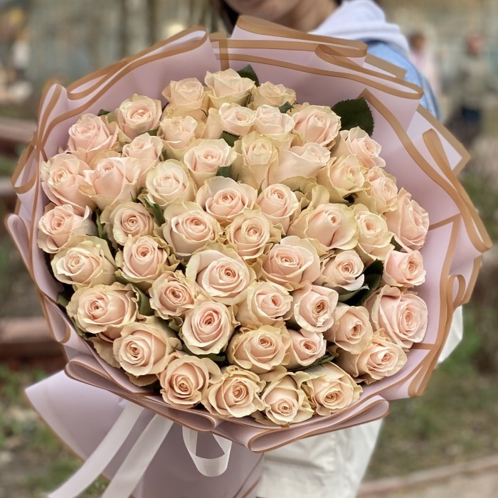 51 нежно-розовая роза Помароса