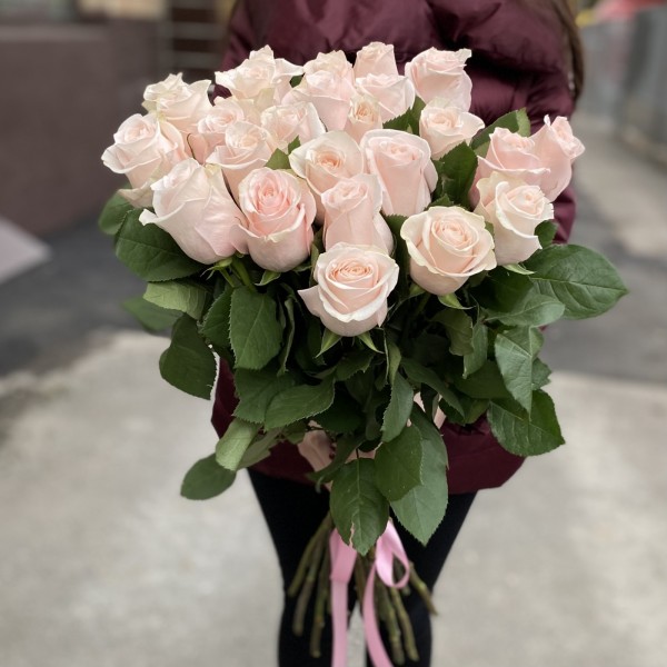 Роза Помароса 80 см