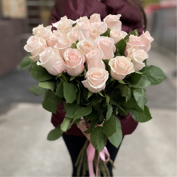 Роза Помароса 80 см