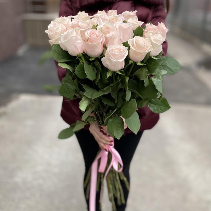 Роза Помароса 80 см