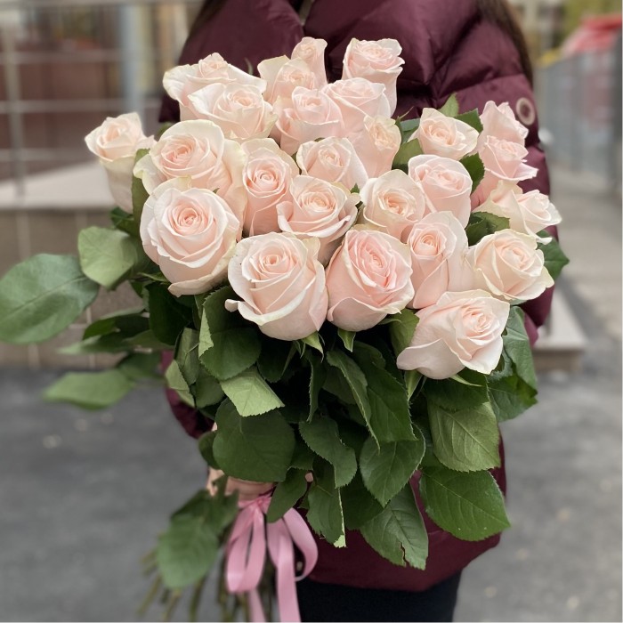 Роза Помароса 80 см