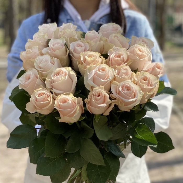 Роза Помароса 60 см