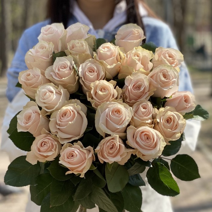 Роза Помароса 60 см