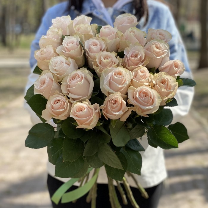 Роза Помароса 60 см