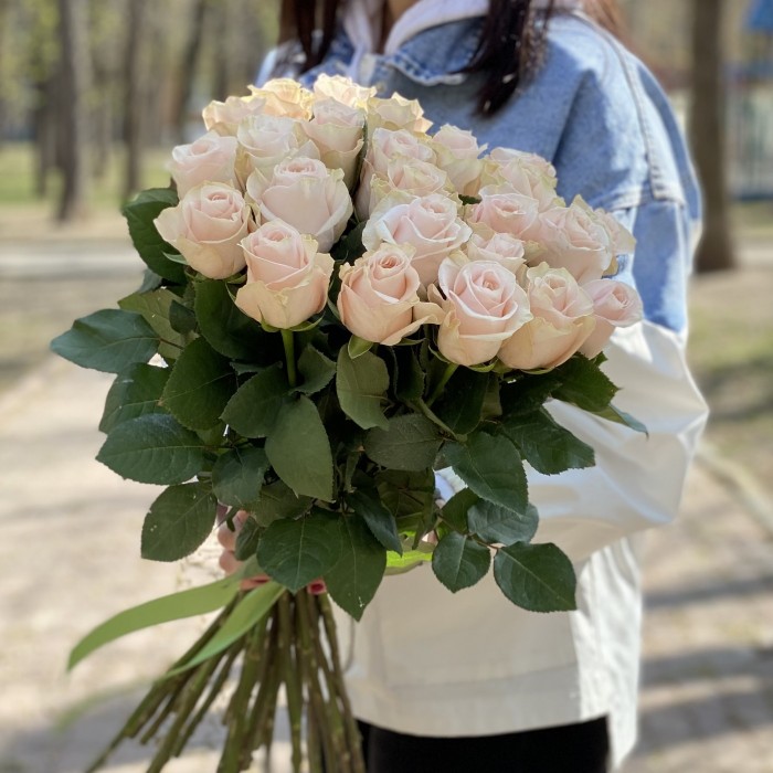 Роза Помароса 60 см